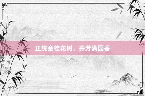 正统金桂花树，芬芳满园香