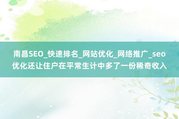 南昌SEO_快速排名_网站优化_网络推广_seo优化还让住户在平常生计中多了一份稀奇收入