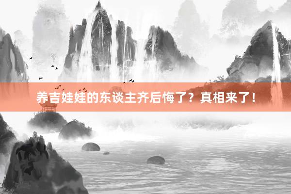 养吉娃娃的东谈主齐后悔了?真相来了!